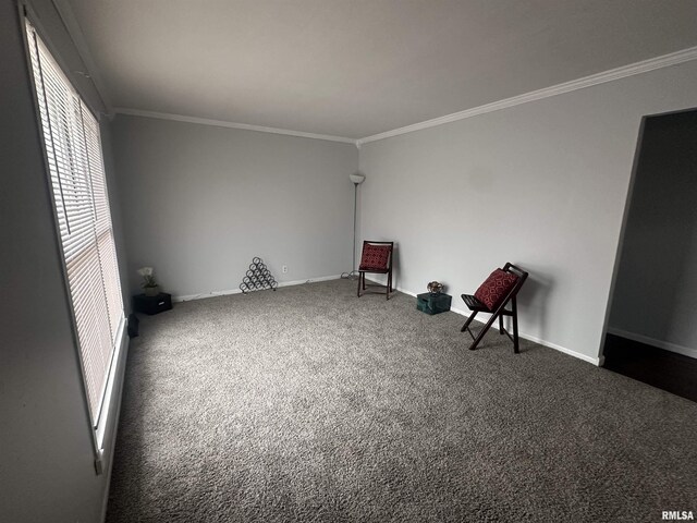 spare room with crown molding and carpet flooring