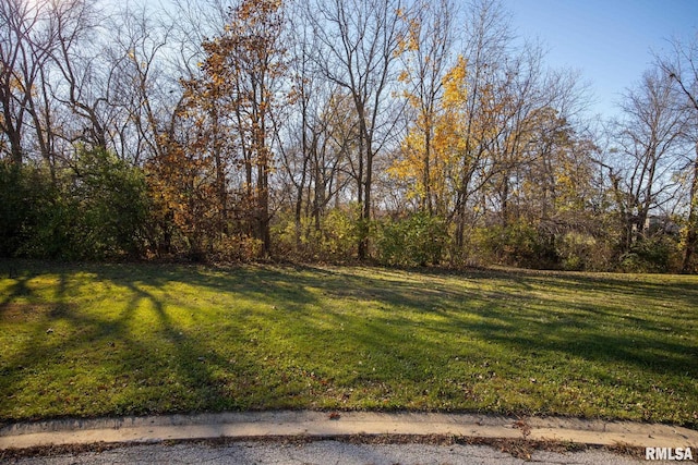 118 Susan Ct, East Peoria IL, 61611 land for sale