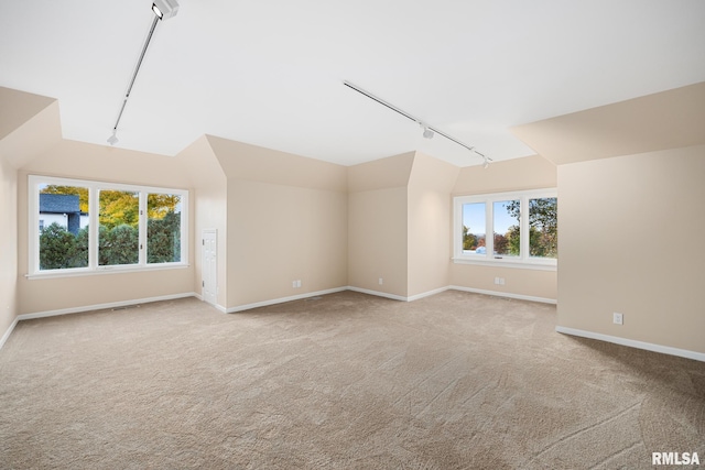 additional living space featuring light colored carpet and plenty of natural light