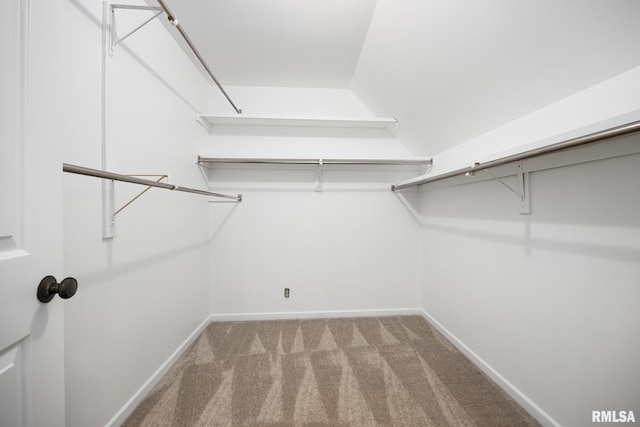 spacious closet featuring carpet floors