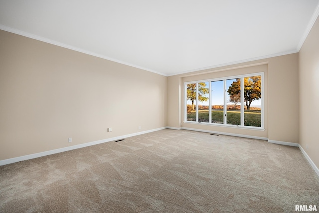 spare room with light carpet and crown molding