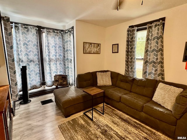 living room with wood-type flooring