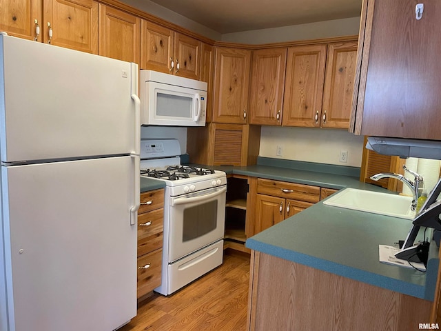 kitchen with sink, light hardwood / wood-style floors, and white appliances