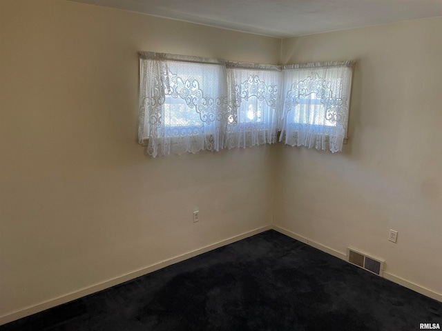 carpeted empty room featuring a wealth of natural light