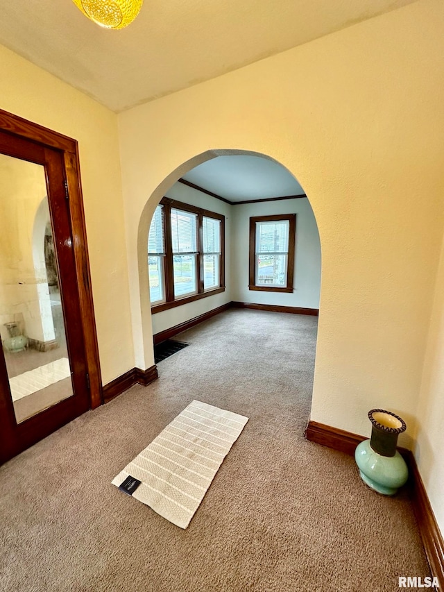 interior space with carpet flooring