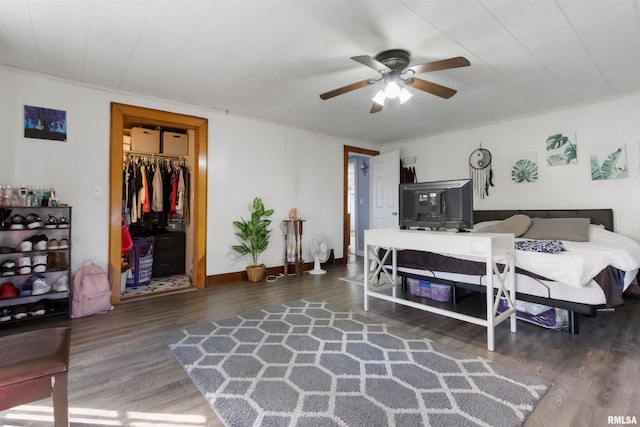 bedroom featuring ceiling fan, a walk in closet, dark hardwood / wood-style flooring, and a closet