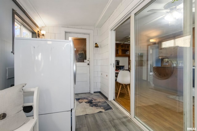 bathroom featuring hardwood / wood-style floors, crown molding, and ceiling fan