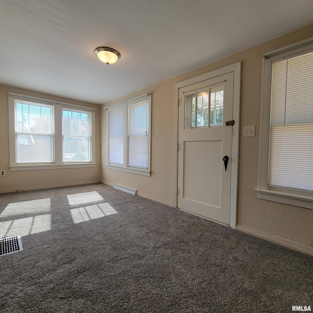 carpeted entryway with a wealth of natural light