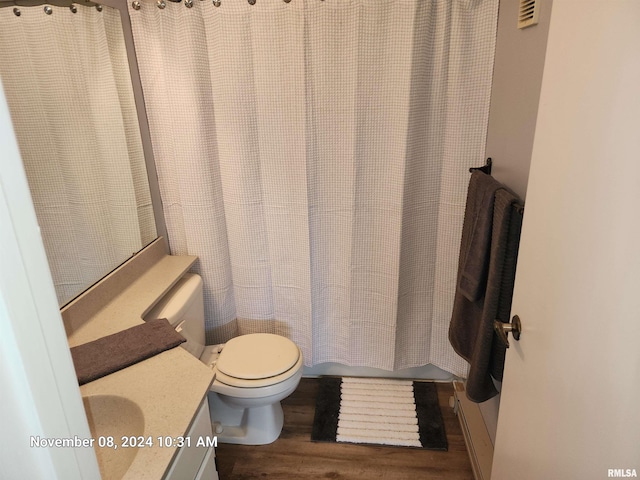 bathroom featuring toilet, vanity, and hardwood / wood-style floors