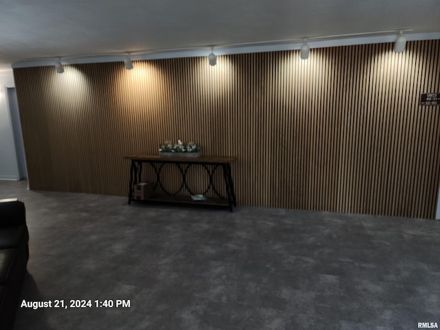 basement featuring rail lighting, wooden walls, and carpet