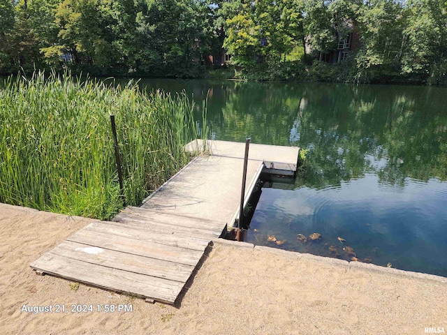 dock area with a water view