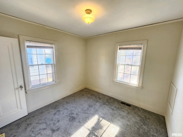 spare room featuring crown molding and carpet floors