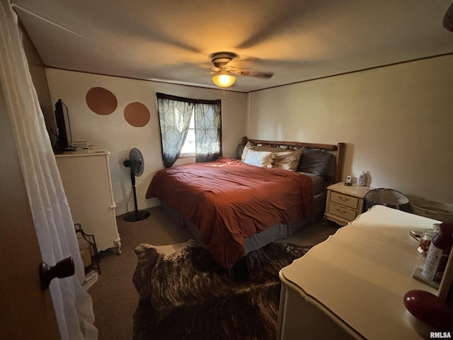 300 W Bobbi Ln, Vermont, IL 61484 - carpeted bedroom featuring ceiling fan