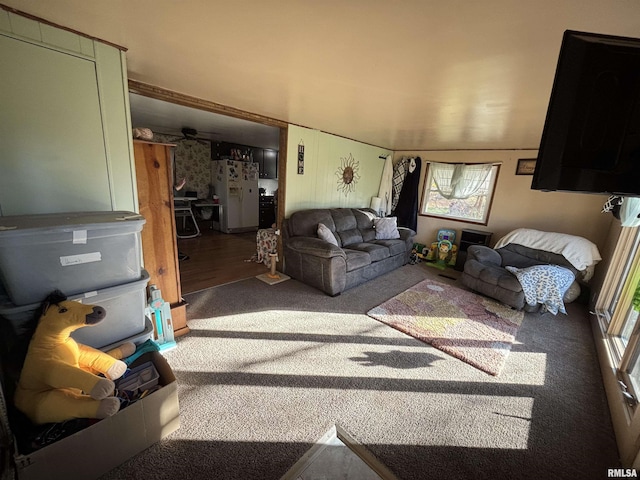 300 W Bobbi Ln, Vermont, IL 61484 - view of carpeted living area
