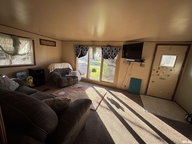 300 W Bobbi Ln, Vermont, IL 61484 - living room featuring light carpet