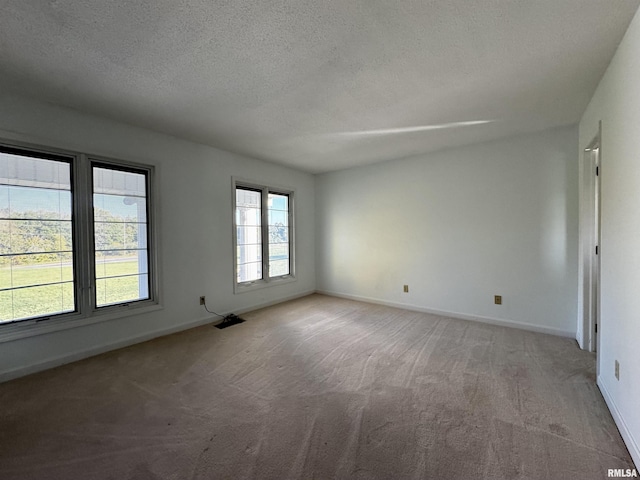 2001 Wigwam Hollow Rd, Macomb, IL 61455 - unfurnished room with light carpet and a textured ceiling