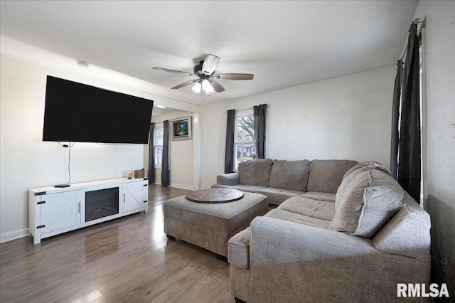 living room with ceiling fan and hardwood / wood-style floors