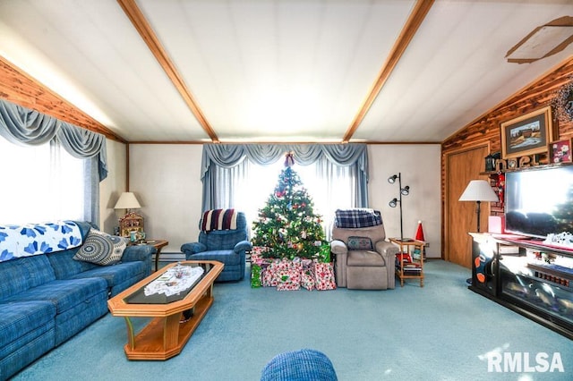 carpeted living room with lofted ceiling, ornamental molding, and a baseboard radiator