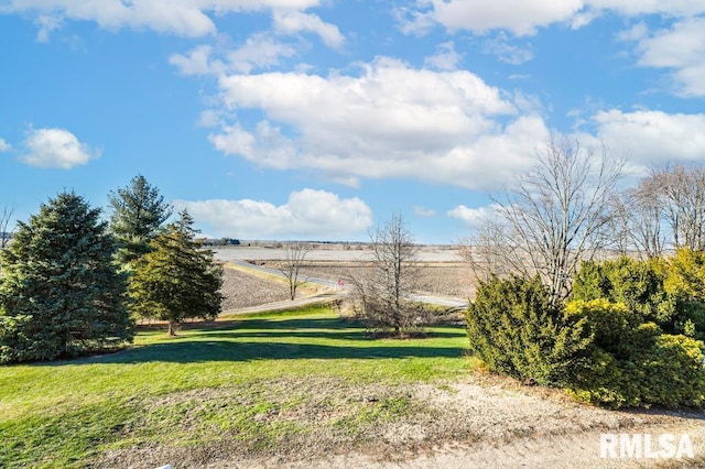 view of yard with a rural view