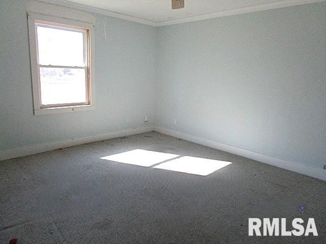 spare room with ceiling fan and ornamental molding