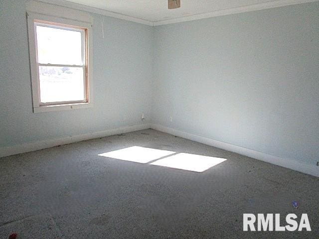 410 W Illinois St, Spring Bay, IL 61611 - unfurnished room featuring ornamental molding, carpet flooring, and baseboards