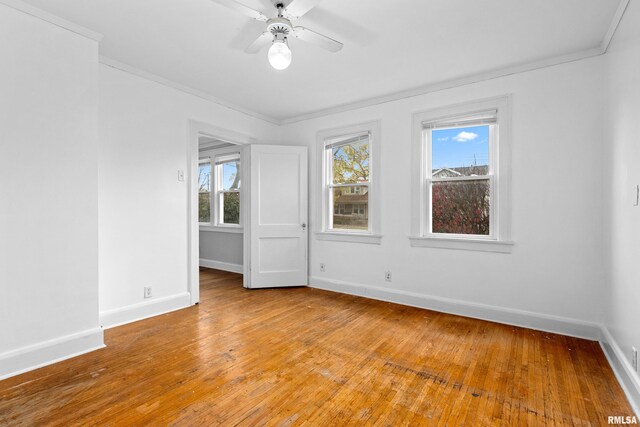 empty room with light hardwood / wood-style floors and plenty of natural light