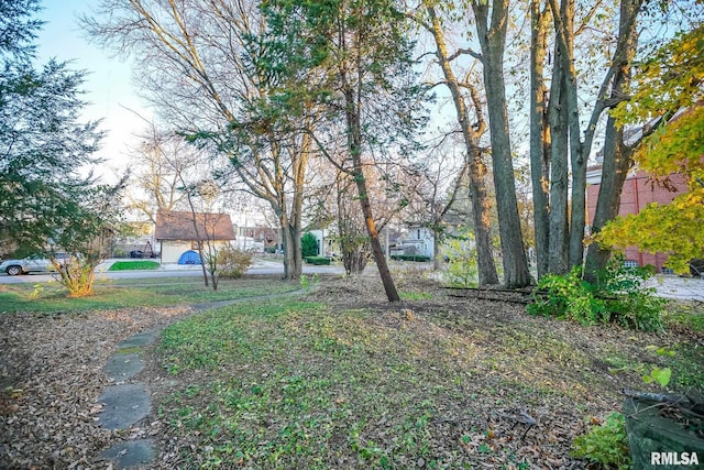 view of yard with a garage