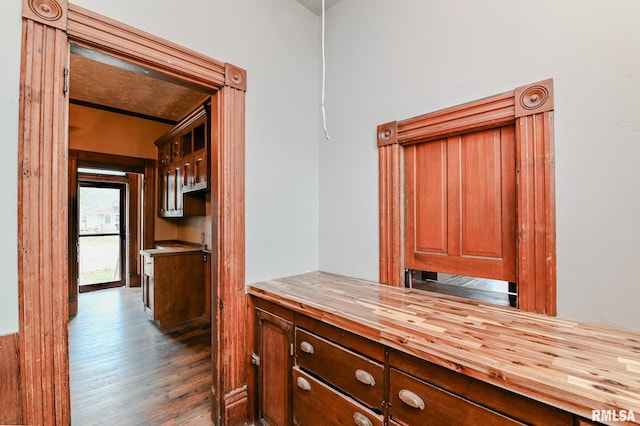 interior space with dark wood-type flooring