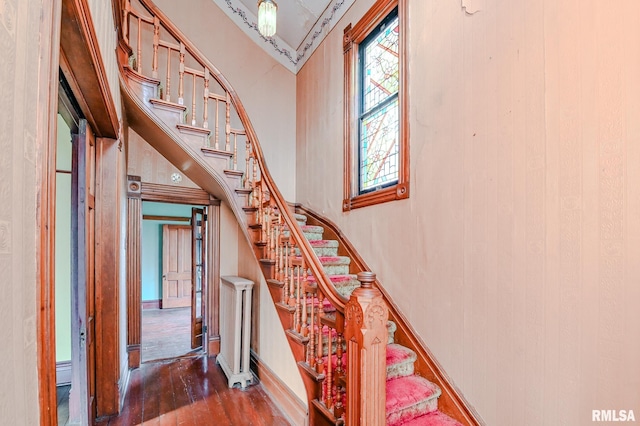 staircase with wood-type flooring