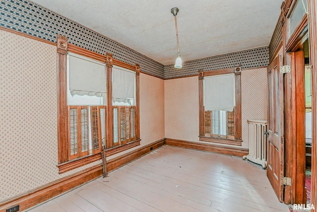 empty room featuring a wealth of natural light and light wood-type flooring