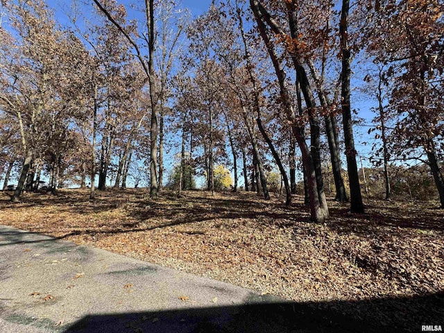 10110 E 850th St, Colchester, IL 62326 - view of yard