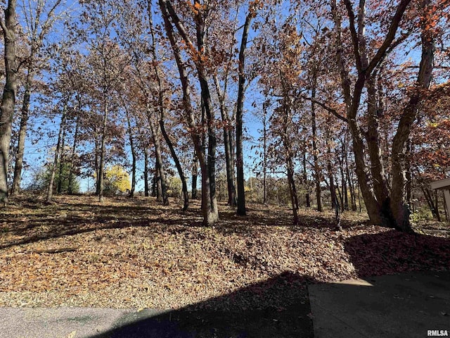 10110 E 850th St, Colchester, IL 62326 - view of yard
