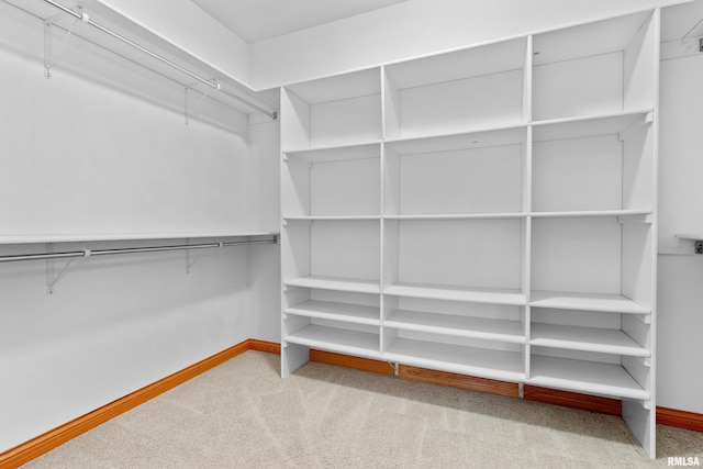 walk in closet featuring light colored carpet