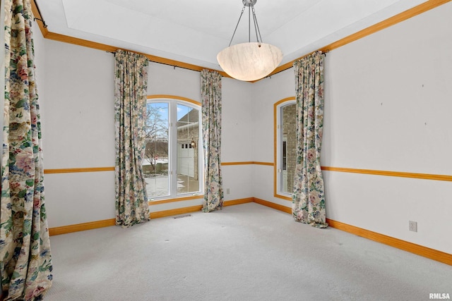 carpeted spare room featuring ornamental molding