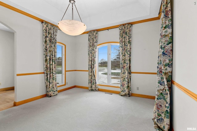 carpeted spare room featuring crown molding and a tray ceiling