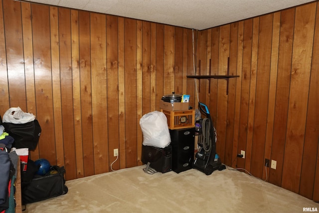 miscellaneous room with carpet flooring and wood walls