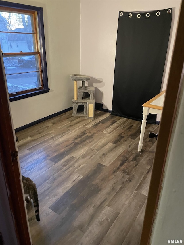 interior space featuring wood-type flooring