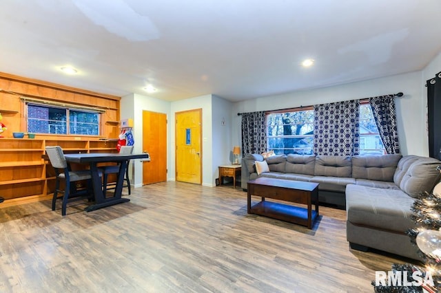 living room featuring wood-type flooring