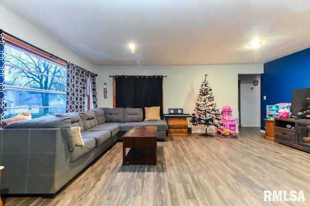 living room with hardwood / wood-style flooring