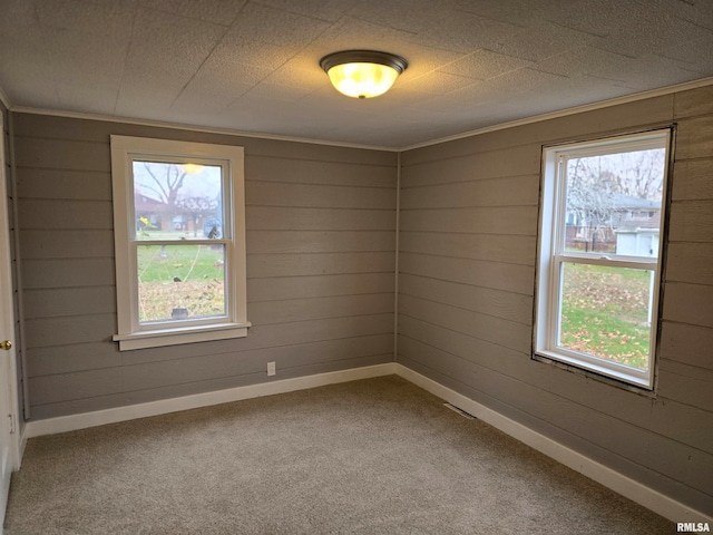 carpeted spare room featuring wooden walls