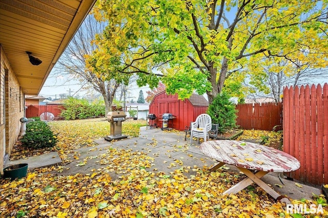 view of patio / terrace featuring a grill and a storage shed