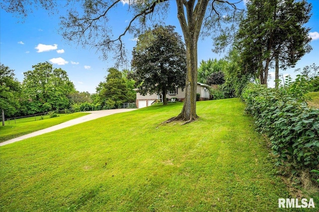 view of yard featuring a garage