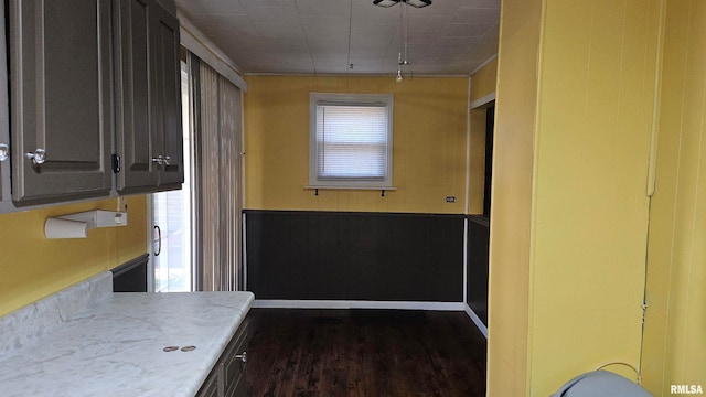 kitchen with dark hardwood / wood-style floors and wood walls