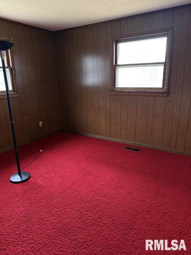 empty room featuring carpet, a textured ceiling, a wealth of natural light, and wood walls