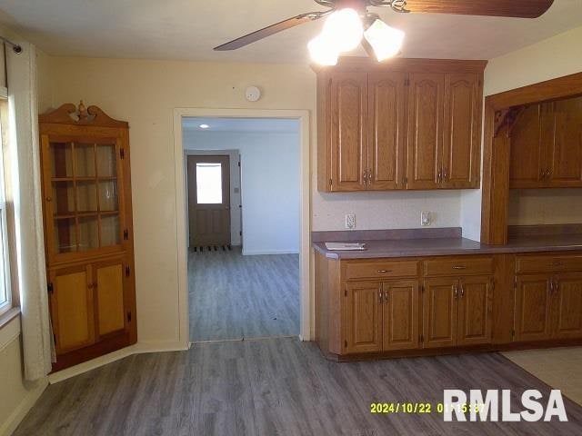 kitchen with wood-type flooring