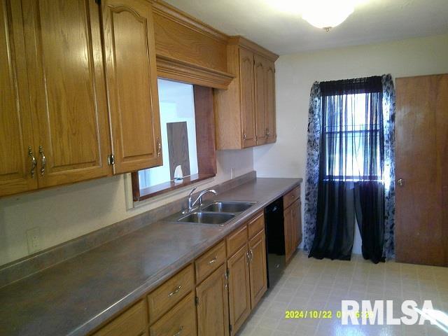 kitchen featuring dishwasher and sink