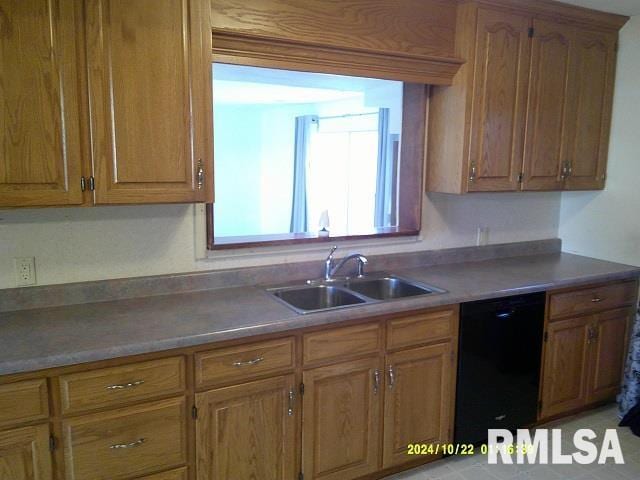 kitchen with dishwasher and sink