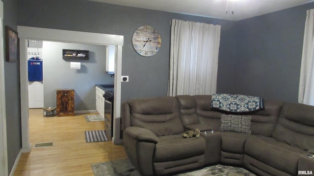 living room with hardwood / wood-style floors