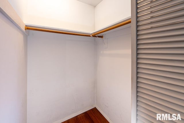 spacious closet with dark wood-type flooring