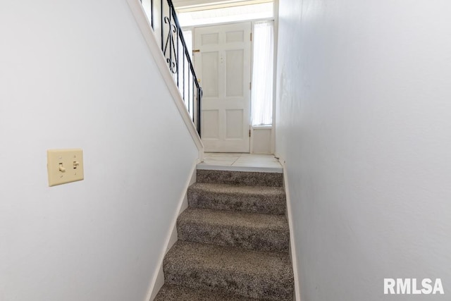 stairs featuring carpet floors